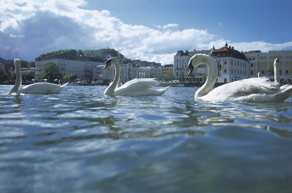 Landhotel Gruenberg Am See Gmunden Luaran gambar